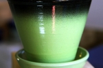 Pelargonkruka med fat i glaserad stengods